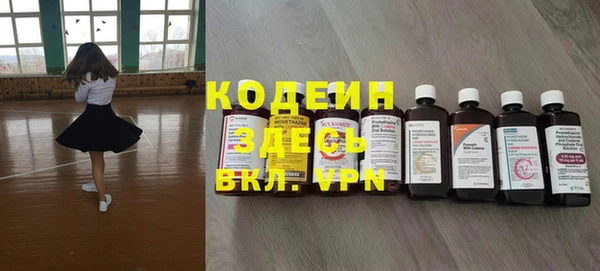 ECSTASY Ельня