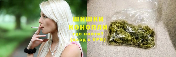 ECSTASY Ельня