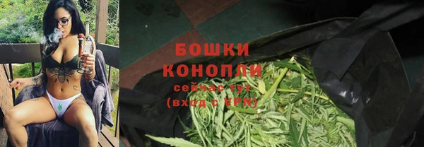 прущие грибы Елабуга