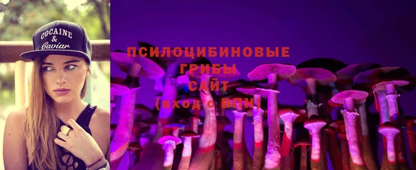 ECSTASY Ельня