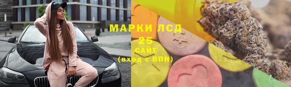 прущие грибы Елабуга