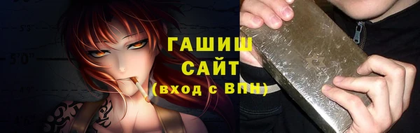 ECSTASY Ельня
