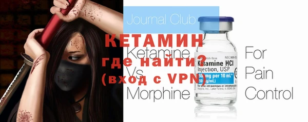 прущие грибы Елабуга