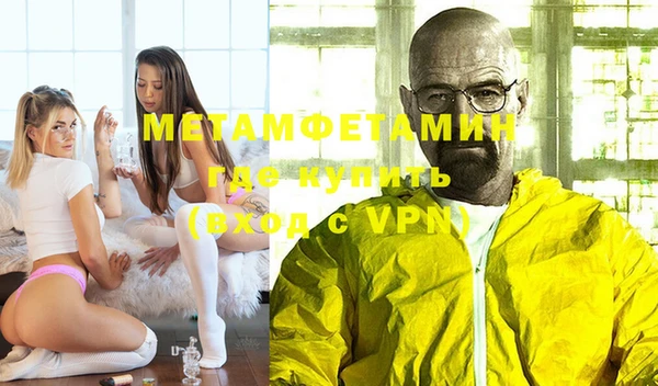 прущие грибы Елабуга