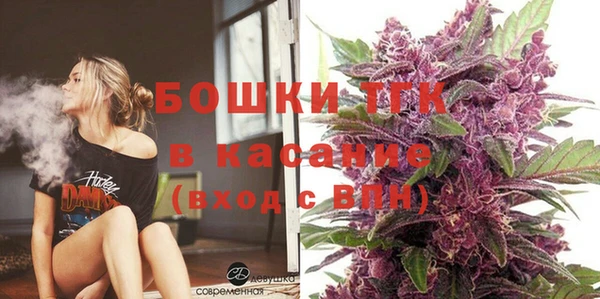прущие грибы Елабуга