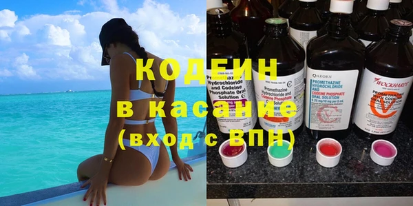 прущие грибы Елабуга