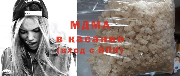 прущие грибы Елабуга