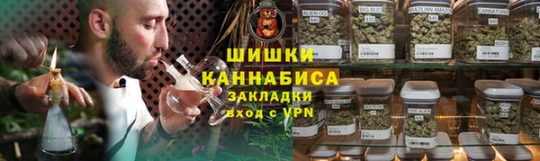 прущие грибы Елабуга