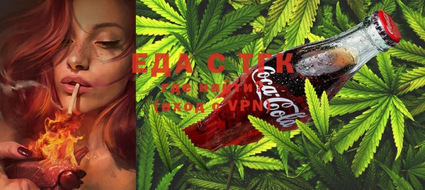 ECSTASY Ельня