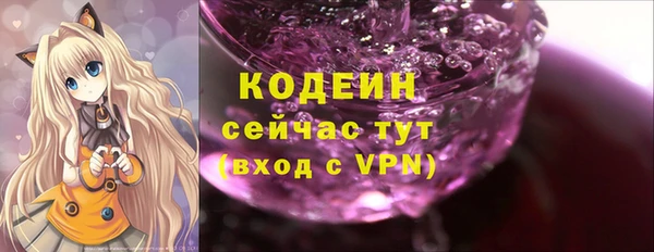прущие грибы Елабуга