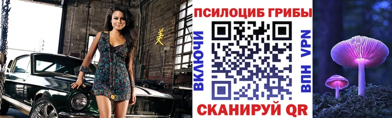 мега онион  Петухово  Псилоцибиновые грибы прущие грибы 